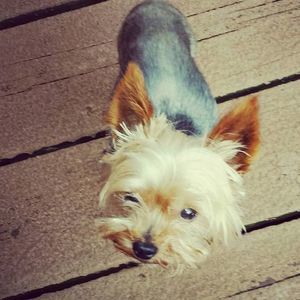 Meet your Posher, Deborah